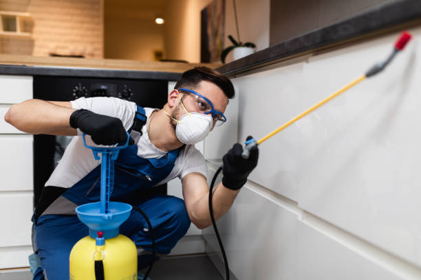 Best Mosquito Control Services  in Corrigan, TX