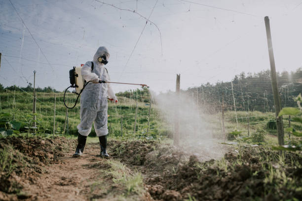 Best Commercial Pest Control Services  in Corrigan, TX