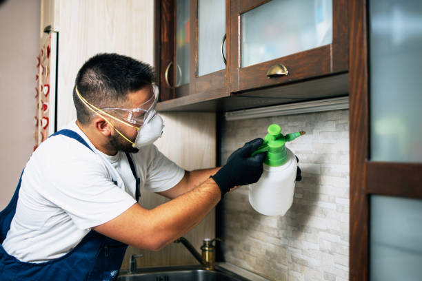 Best Emergency Pest Control  in Corrigan, TX
