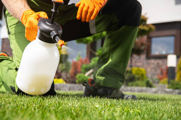 Best Residential Pest Control  in Corrigan, TX