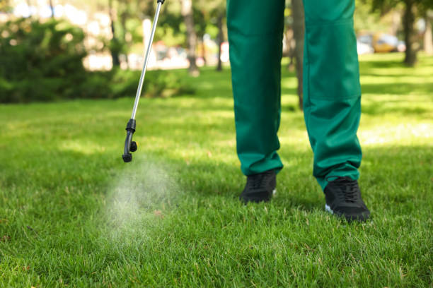 Best Ant Control Services  in Corrigan, TX