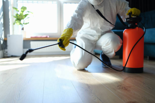 Best Affordable Pest Control Services  in Corrigan, TX
