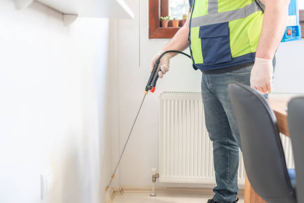 Best Local Pest Control Services  in Corrigan, TX