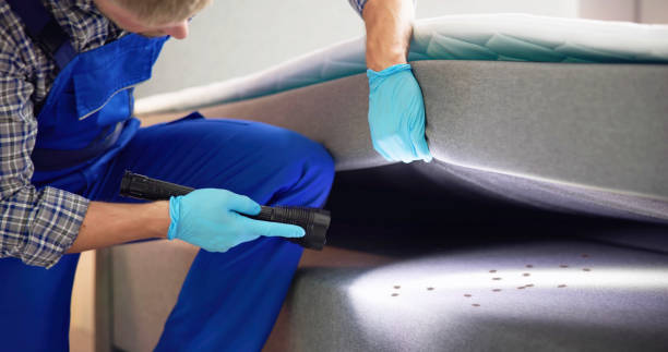Best Wasp Removal Services  in Corrigan, TX