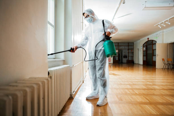 Best Insect Control  in Corrigan, TX