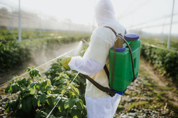 Best Wildlife Control Services  in Corrigan, TX